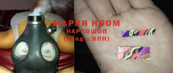 гидра Ветлуга