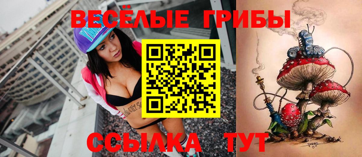 Саров  Псилоцибиновые грибы Psilocybe  Вход с VPN  Галлюциногенные грибы MAGIC MUSHROOMS 