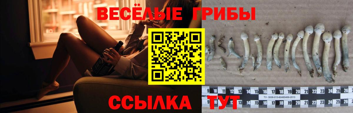 Псилоцибиновые грибы мухоморы Саров